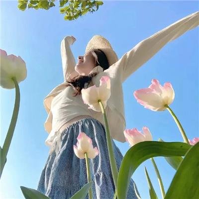 黄飞鸿之铁血十三姨